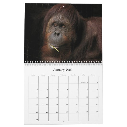 Calendrier Qui s'inquiète s'il est saisonnier ? (Jan 2027)