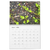 Calendrier QUOTIDIEN de la PHOTO 2010 du LONG (Mar 2026)