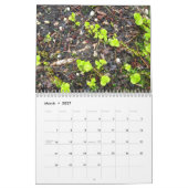 Calendrier QUOTIDIEN de la PHOTO 2010 du LONG (Mar 2027)