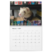 Calendrier r/ferrets Calendar 4th Edition (2026) (Feb 2027)