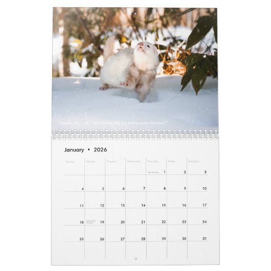 Calendrier r/ferrets Calendar 5th Edition (2026) (Jan 2026)