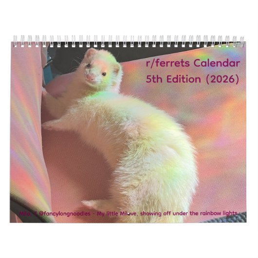 Calendrier r/ferrets Calendar 5th Edition (2026) (Protection)