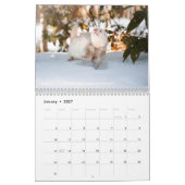 Calendrier r/ferrets Calendar 5th Edition (2026) (Jan 2027)