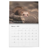 Calendrier r/ferrets Calendar 5th Edition (2026) (Feb 2027)