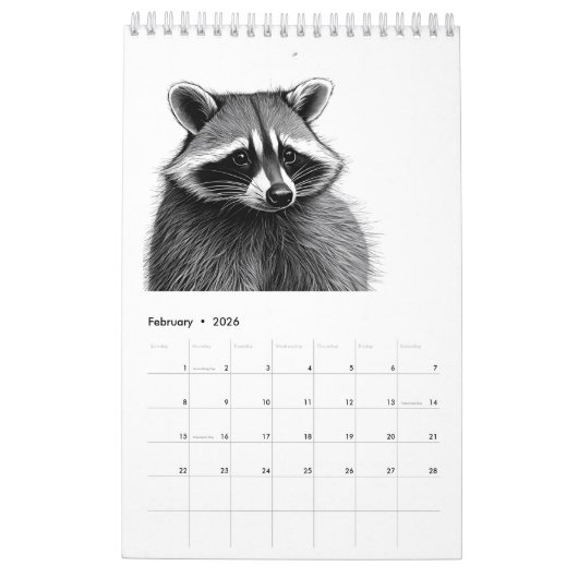 Calendrier Raccoon (Feb 2026)