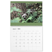 Calendrier Raccoon de Wild Blue Yonder 2021 (Mar 2026)