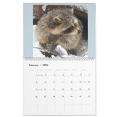 Calendrier Raccoon de Wild Blue Yonder 2021 (Feb 2026)