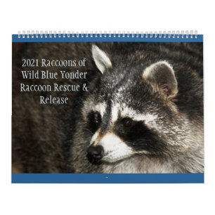 Calendrier Raccoon de Wild Blue Yonder 2021