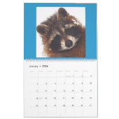 Calendrier Raccoon de Wild Blue Yonder 2021 (Jan 2026)