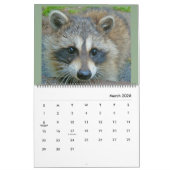Calendrier Raccoons 2020 de Wild Blue Yonder Raccoon Secourt (Mar 2026)