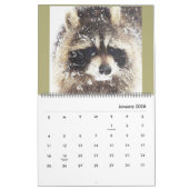 Calendrier Raccoons 2020 de Wild Blue Yonder Raccoon Secourt (Jan 2026)