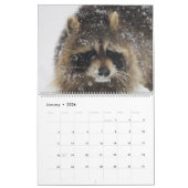 Calendrier Raccoons 2022 de Wild Blue Yonder Raccoon Secourt (Jan 2026)
