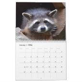 Calendrier Raccoons adorables 2026 (Jan 2026)