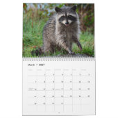 Calendrier Raccoons adorables 2026 (Mar 2027)