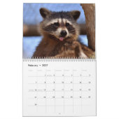 Calendrier Raccoons adorables 2026 (Feb 2027)