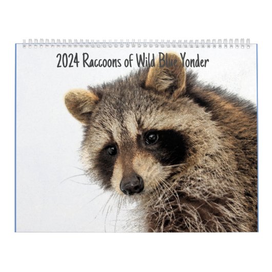 Calendrier Raccoons de Yonder bleu sauvage 2024 (Protection)