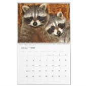Calendrier Raccoons de Yonder bleu sauvage 2024 (Jan 2026)
