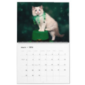 Calendrier Ragdoll Kitten (Mar 2026)