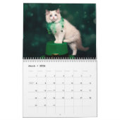 Calendrier Ragdoll Kittens (Mar 2026)