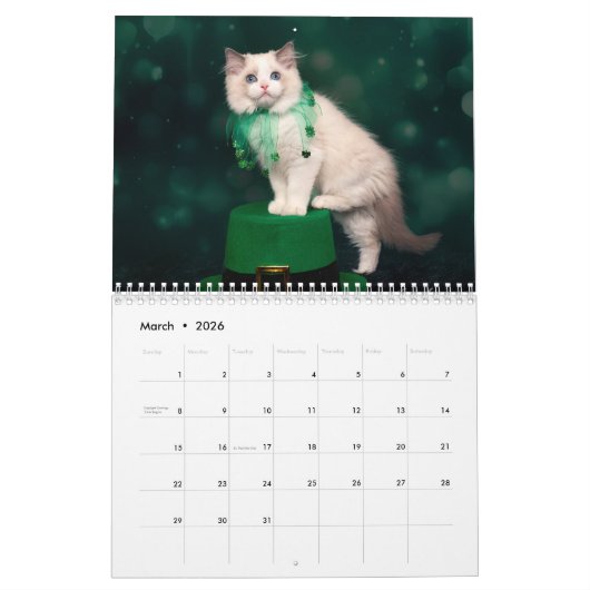 Calendrier Ragdoll Kittens (Mar 2026)