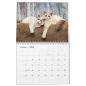 Calendrier Ragdoll Kittens (Jan 2026)
