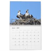 Calendrier Rapporteurs (Mar 2027)