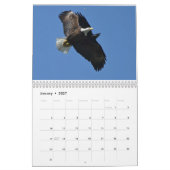 Calendrier Rapporteurs (Jan 2027)