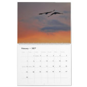 Calendrier Rapture Raptor 2026 (Feb 2027)