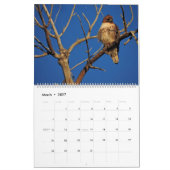 Calendrier Rapture Raptor 2026 (Mar 2027)