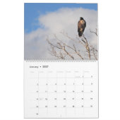 Calendrier Rapture Raptor 2026 (Jan 2027)