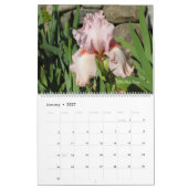 Calendrier Rare Historique Iris Lovers (Jan 2027)