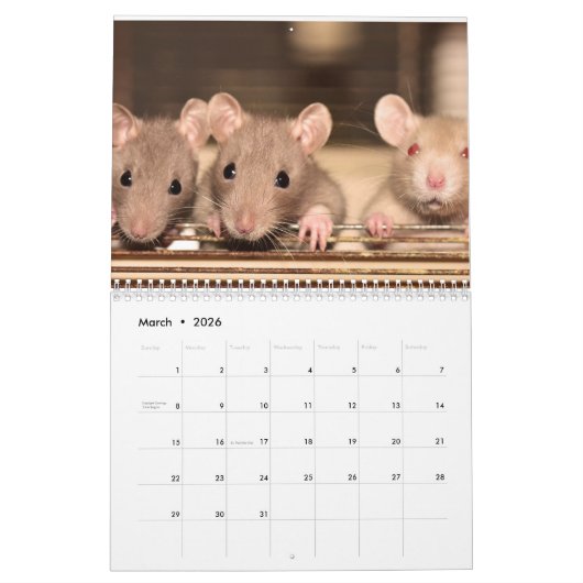 Calendrier Rat 2025 (Mar 2026)