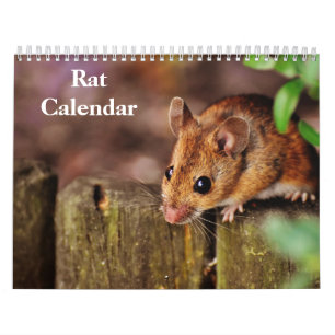 Calendrier Rat 2026