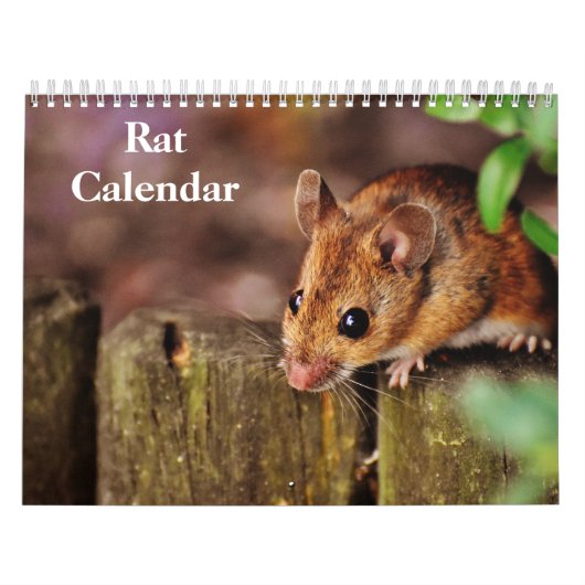 Calendrier Rat 2026 (Protection)