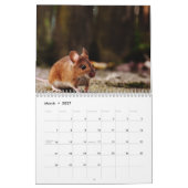 Calendrier Rat 2026 (Mar 2027)