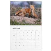 Calendrier Red Fox 2025 (Mar 2026)