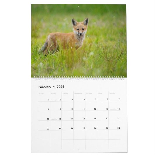 Calendrier Red Fox 2025 (Feb 2026)
