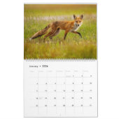 Calendrier Red Fox 2025 (Jan 2026)