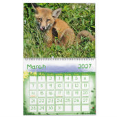 Calendrier Red Fox par Angel Cher (Mar 2027)