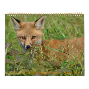 Calendrier Red Fox par Angel Cher