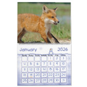 Calendrier Red Fox par Angel Cher (Jan 2026)