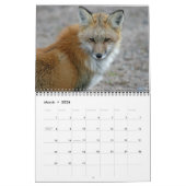 Calendrier Red Fox rencontre la photographie de Fox (Mar 2026)