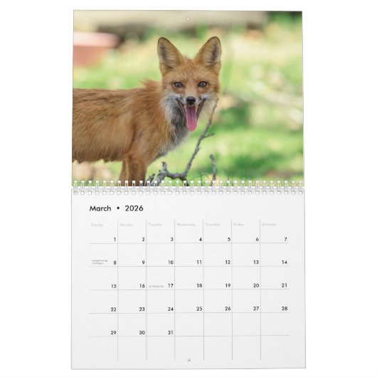 Calendrier Red Foxes 2021 (Mar 2026)