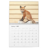 Calendrier Red Foxes 2021 (Jan 2027)