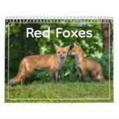 Calendrier Red Foxes Calendar (Protection)