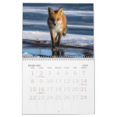 Calendrier Red Foxes Calendar (Feb 2026)