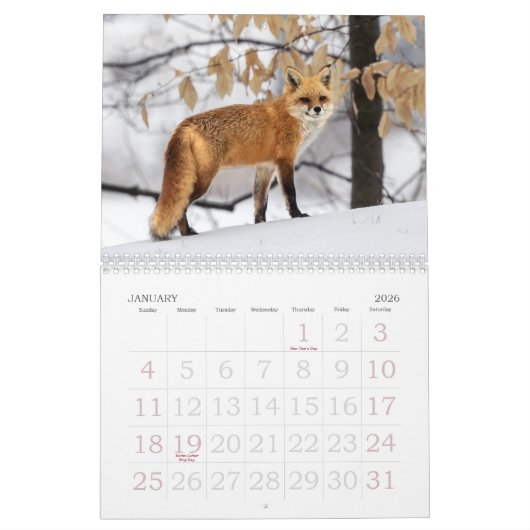 Calendrier Red Foxes Calendar (Jan 2026)