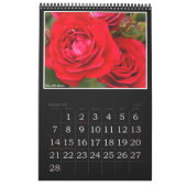 Calendrier Red Roses Calendar (Type-B) (Feb 2027)