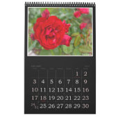 Calendrier Red Roses Calendar (Type-B) (Jan 2027)