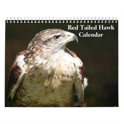 Calendrier Red Tailed Hawk 2023 Calendar (Protection)